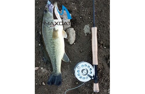 best fly rod combo under 100