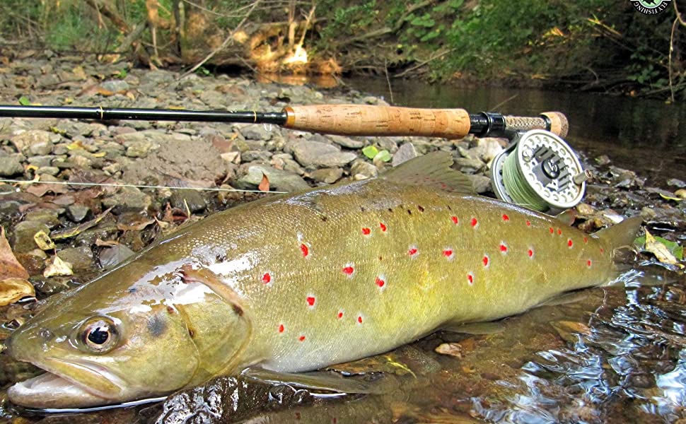 M MAXIMUMCATCH Maxcatch Farglory Euro Nymph Fly Rod Czech nymphing Style 4  in 1 Fly Fishing Rods 9'-10'65wt 4-5sec 2in 1