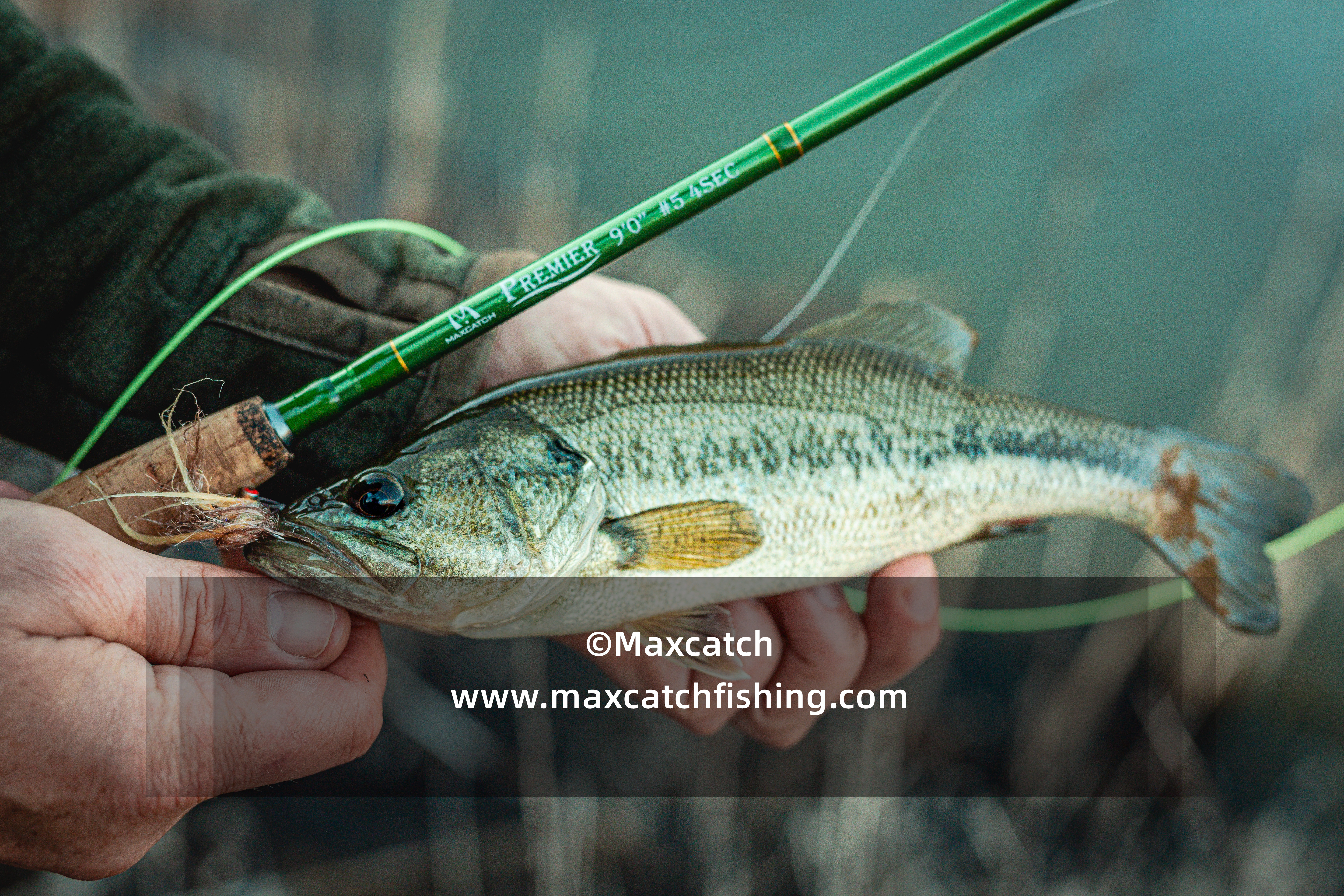 Maxcatch Ultra lite Fly Fishing Rod Combo Kit 2/3WT Fly Rod and Reel Combo